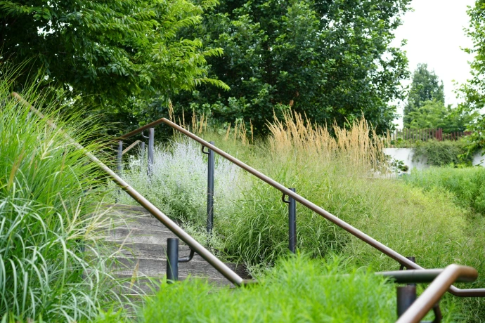 Stone stairs with metal handrails surrounded by lush greenery.